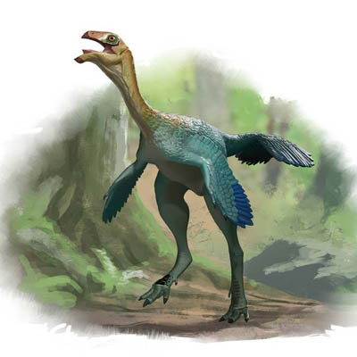 Живший 120 миллионов лет назад динозавр <em>Caudipteryx zoui</em> был невелик — около метра в длину