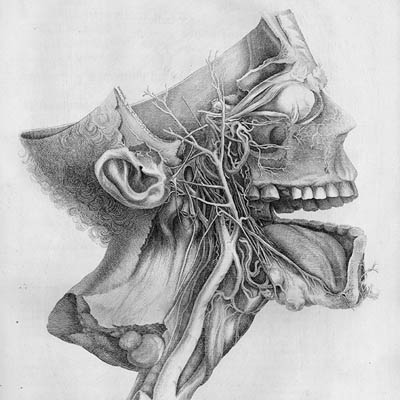 Иллюстрированный анатомический атлас
 	